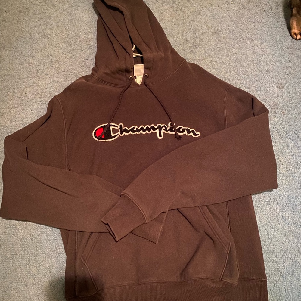 Champion Sweater